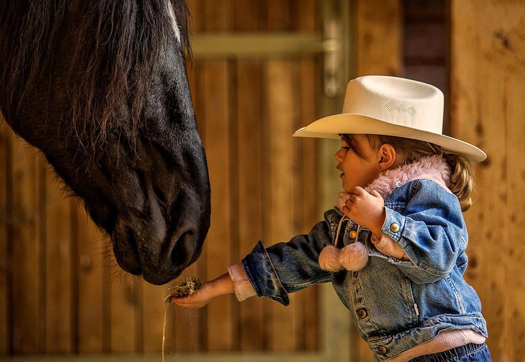 El Bronco Working Ranch Izsák Eksteriør bilde