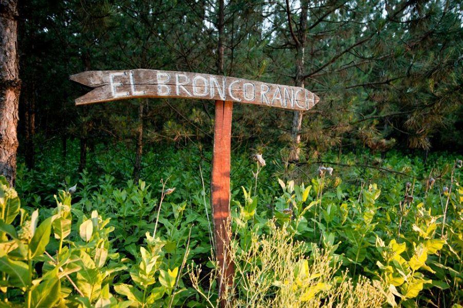 El Bronco Working Ranch Izsák Eksteriør bilde